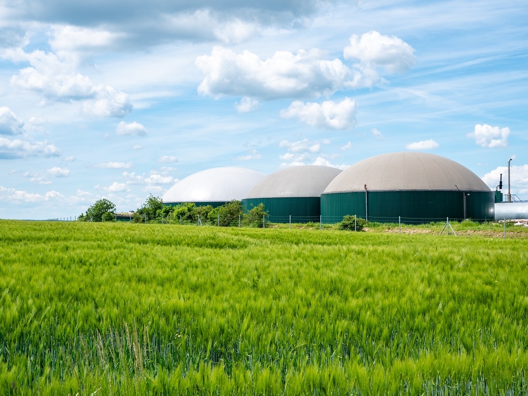 Produkcja biogazu i biometanu poprzez termiczną utylizację odpadów poubojowych